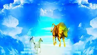 BULL-BA~BULL  HORSE TRADING CENTRE AT BAIL BABA  NANA~MANA GAGA-🐂🐃 ALARM