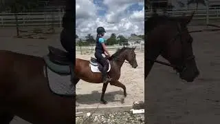 Don&rsquo;t look at my straight arms lol🫣 Look at Baloutiful💗🐴 #horse #equestrain #trot #shorts