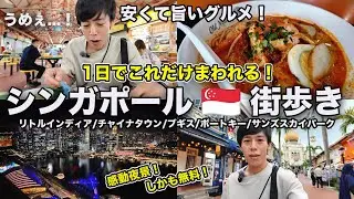 安くて旨いグルメと絶景に感動！1日で巡る街歩き充実プラン！【シンガポール街歩き】
