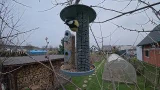 Dji Osmo Action  6  / Slow motion