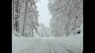 Lago Laceno (AV) - Oltre mezzo metro di neve - Gennaio 2025 -