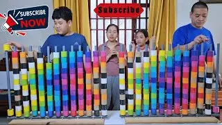 Color Sorting Puzzle Challenge, Fun Family Game ☆ level 05
