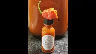 Sauce Review #17 CAROLINA REAPER Pure Fire Hot Sauce homemade Review