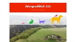 Jahresrückblick Tierheim Dornbusch 2020
