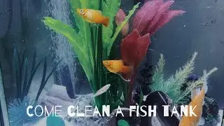 How I Clean My 40 Gallon Fish Tank