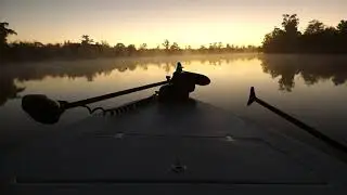 Peace River Juvi Tarpon