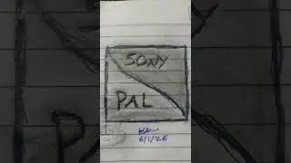 Sony Pal
