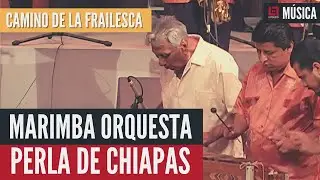Marimba Orquesta Perla de Chiapas. &laquo;Camino de la Frailesca&raquo; | M&uacute;sica de marimba para bailar