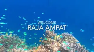 Let s save and protect our reef