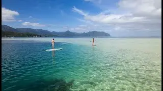 Pink Sails Kaneohe Bay Sandbar Splash and Snorkel Adventure