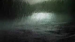 A PALE MOON   Lonely Silver Rain