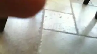 Nike the cat