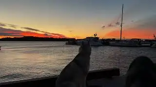 With a dog you won't miss a single sunrise