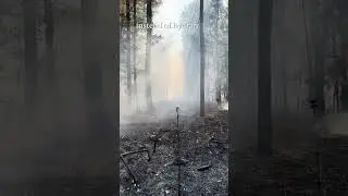 October 24, 2024 Bearden, AR fire, part 1