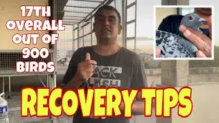 Vlog 089 RECOVERY NA TAYO BAGO ANG DERBY || Master Pogi Banwait TV #indian #trending #tips #master