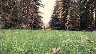 SWTR | The Ranch | Episode 4