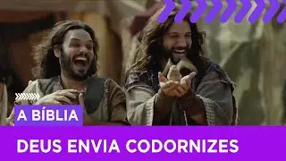 Deus envia codornizes dos céus | A Bíblia