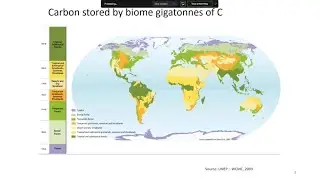 &ldquo;Carbon dynamics in ecosystems: a global perspective&rdquo; &ndash; Dr Lan Qie, University of Lincoln