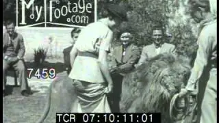 1930s Woman Rides Lion
