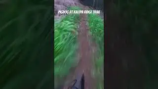 #mtblifeandadventure #mtb #mtbshorts #mtbdownhill #mtbpinoy #kaleparidgetrail #kauaihawaii