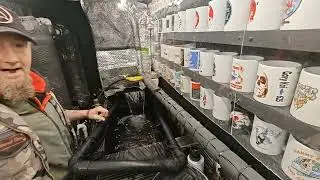 **Конец эры длинных аквариумов 😢** #кои #рыбкикои #прудсрыбкамикои