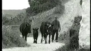 CAPE CLEAR PART 1 - RTE Feature from 70's