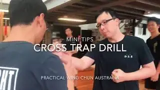 Wing Chun Drills - Cross Trap