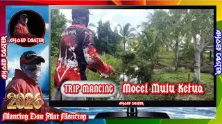 Hobby Mancing - Mocel Mulu Ketua @ayoebcaster