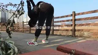 하루살이