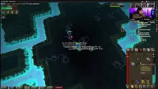 winter summit huge W #live #gaming #osrs