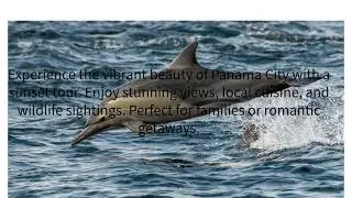 Panama City Sunset Tours