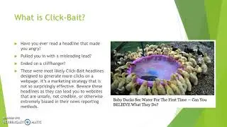 Decoding News Sources: Credible, Fake, or Click-Bait Part II
