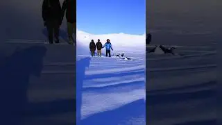 Enjoy in snow | #enjoy#snow #snowfall #snowfallinchitral #winterspecial #trendingreels #trending