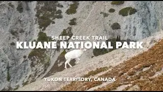 Kluane National Park, Yukon Territory -- Sheep Creek Hike