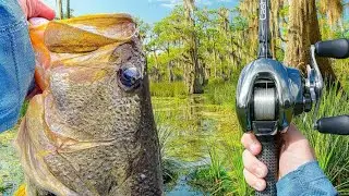 Fishing a pond i Find on Google maps!!