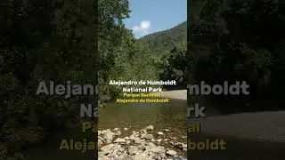 Descubre el verde de Cuba
