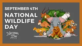 National Wildlife Day | September 4, 2024 - National Day Calendar