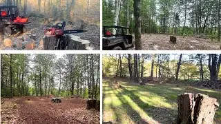 Осенний продовольственный участок Small Woods с нуля &mdash; север штата Нью-Йорк, 2025