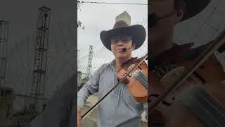 Polka Tamaulipas - Daniel P&eacute;rez | Trio Dinast&iacute;a Tamaulipeca (En Vivo) 