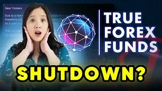 3 Reasons Why True Forex Funds Prop Trading Firm was Shut Down