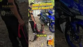 BOMB DETECTION DEMO AT Manalo K9 💣💣💣