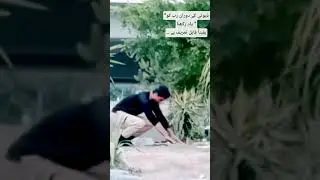 #khyberwatch #pakarmyzindabad #crimefiction #dance #crimenovel #crimestory #generalasimmunir