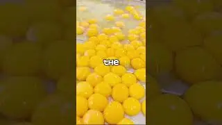LAB GROWN EGGS