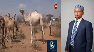 HON DR MIA MIA OO BAAQ U DIRAY CULIMADA GARISSA WAJER IYO MANDERA IYO DHIBAATO UU LA SEEXAN WAAYAY