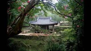 Healing Mind Body And Soul Music [DNA Repair, Deep Healing Music, Mind Body and Soul Music, Relax