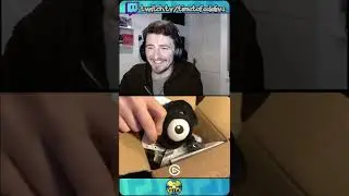 Unboxing the BEST 4 Pokemon Plushies! #Shorts