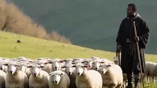 DON'T BE THE REASON THE SHEEP GO ASTRAY