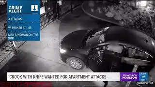 Man with knife stabs woman in face during robbery