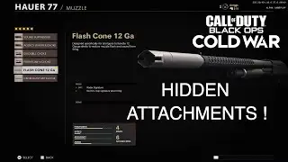 ALL HIDDEN ATTACHMENTS on HAUER 77 SHOTGUN! Max Level Hauer 77 Stats | Black Ops Cold War Alpha