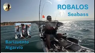 ROBALOS Seabass